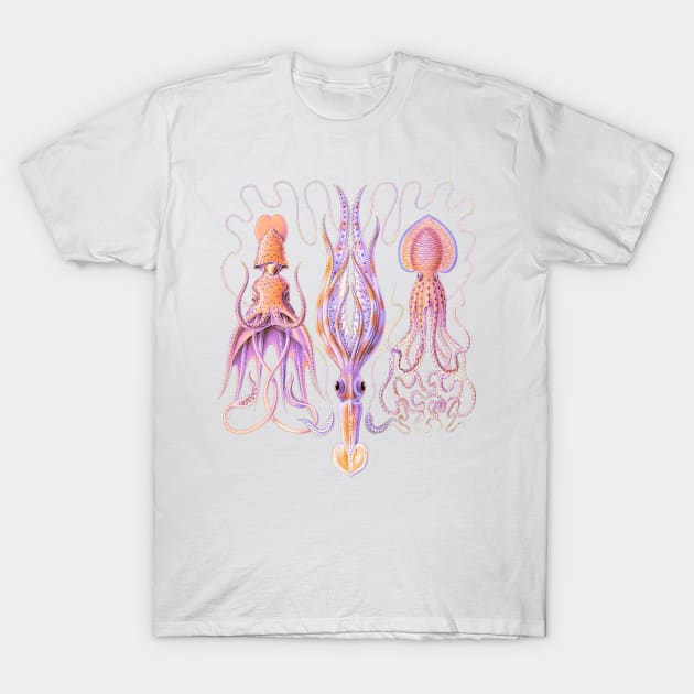 Octopus Trio T-Shirt by JoolyA